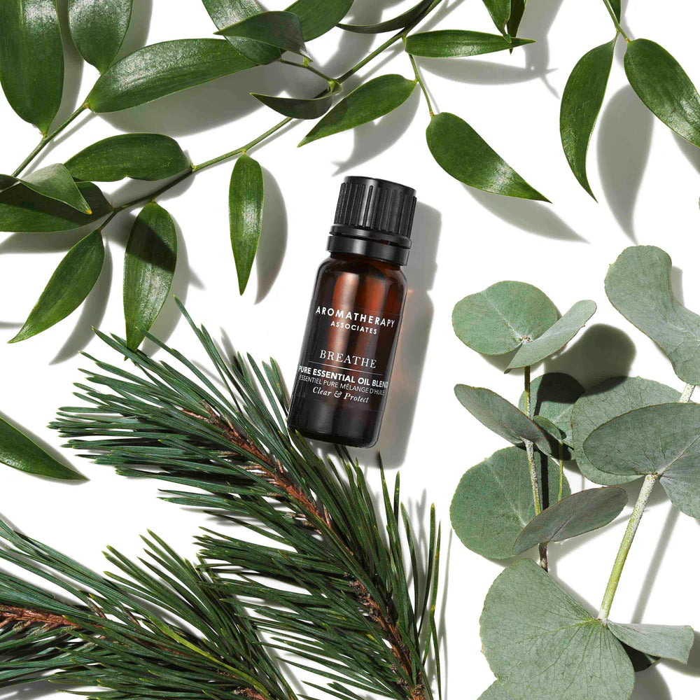 Support Breathe Pure Essential Oil Blend